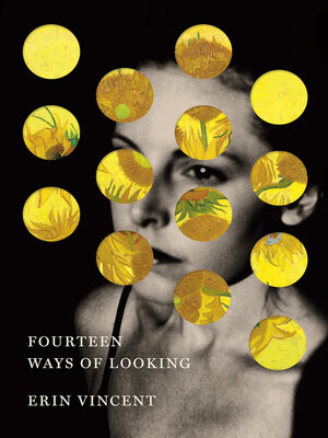 cover image of Fourteen Ways of Looking